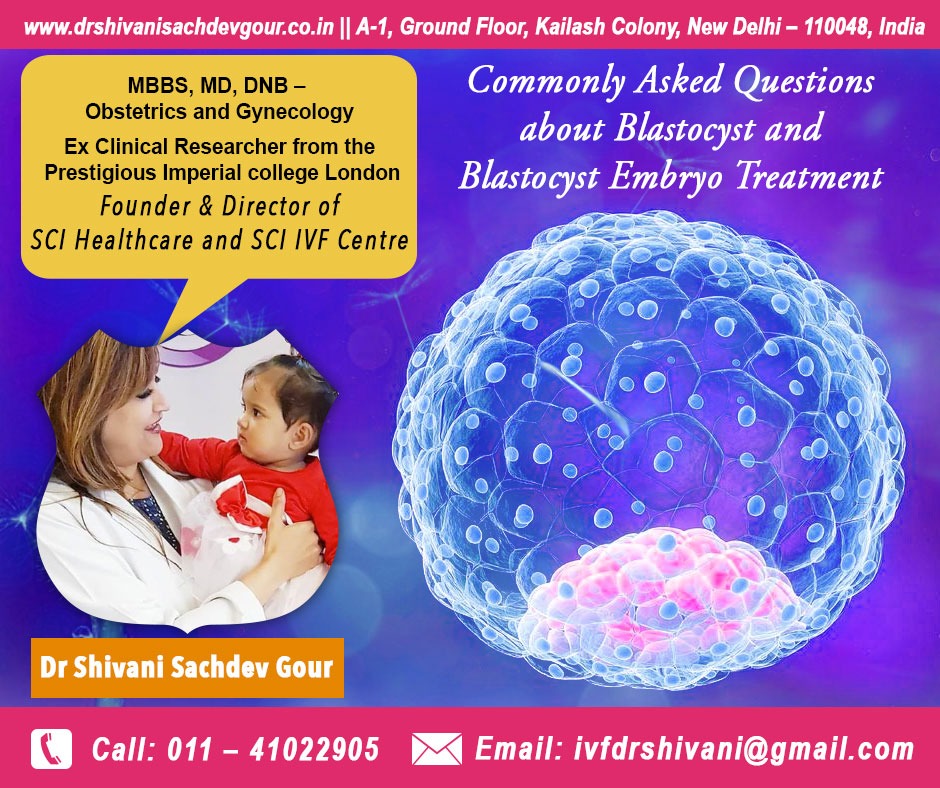 Commonly Asked Questions about Blastocyst and Blastocyst Embryo Treatment
