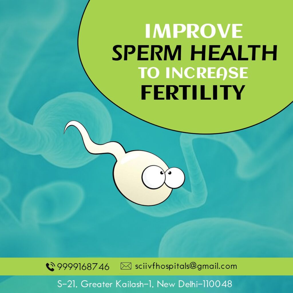 Improve Sperm Health to Boost Fertility