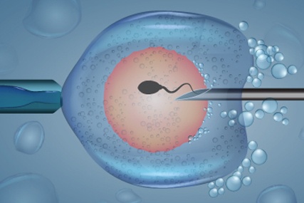 IVF Treatments: Do’s and Don’ts to Consider