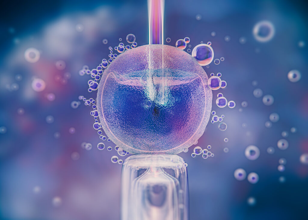 Overview of Blastocyst Culture in IVF Treatment