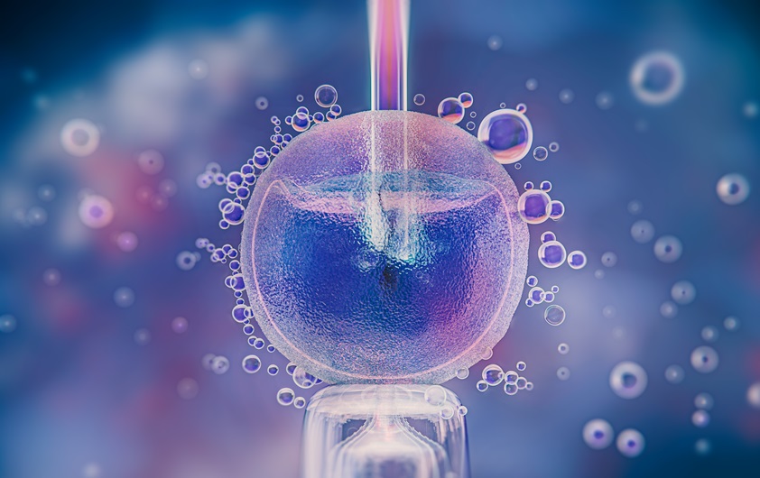 What are the chances of pregnancy with frozen embryos?