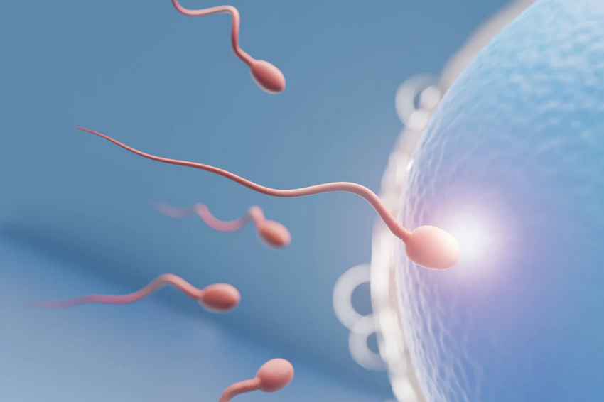 10 Best Ways to Increase Sperm Count?